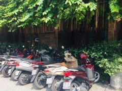 実録！本当にあったベトナム・ホーチミンでのバイク実体験エピソード　