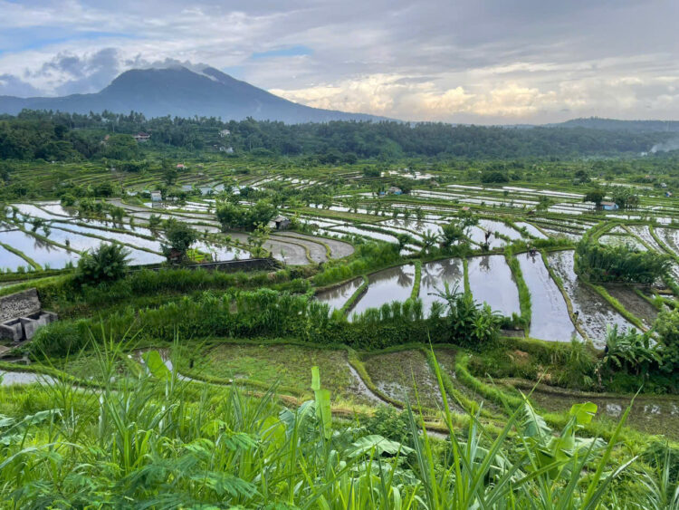 インドネシア風景