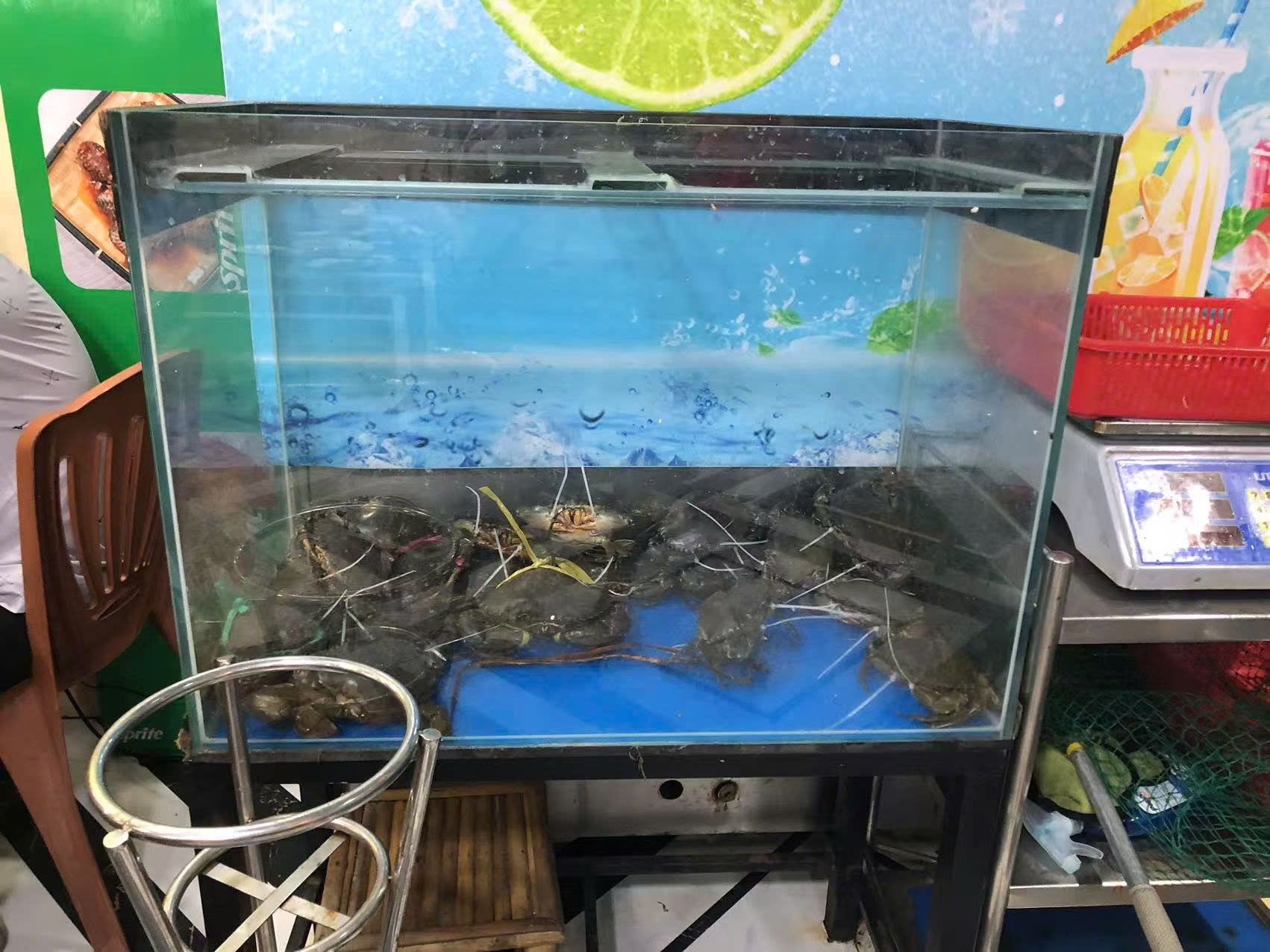 水槽2