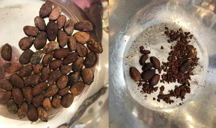 カオ豆の皮をむく前とむいた後