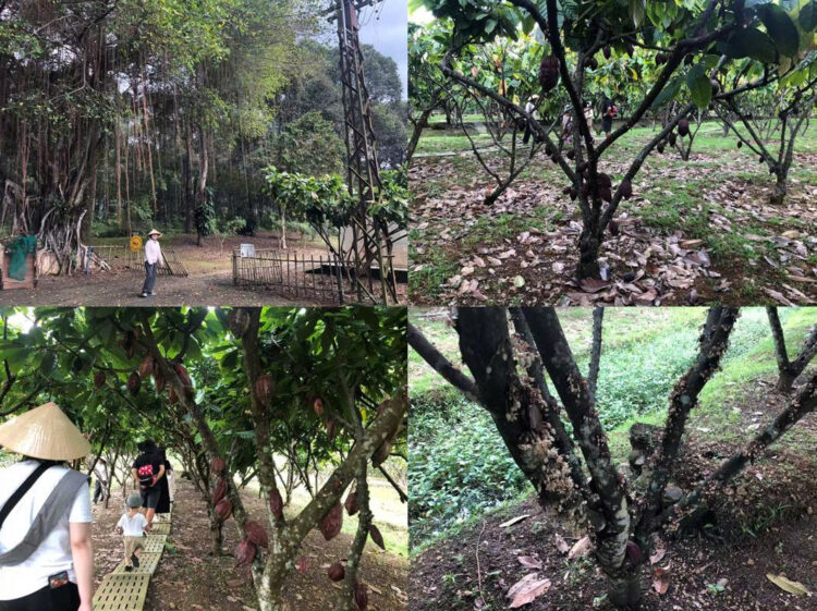 入口や農園内の様子