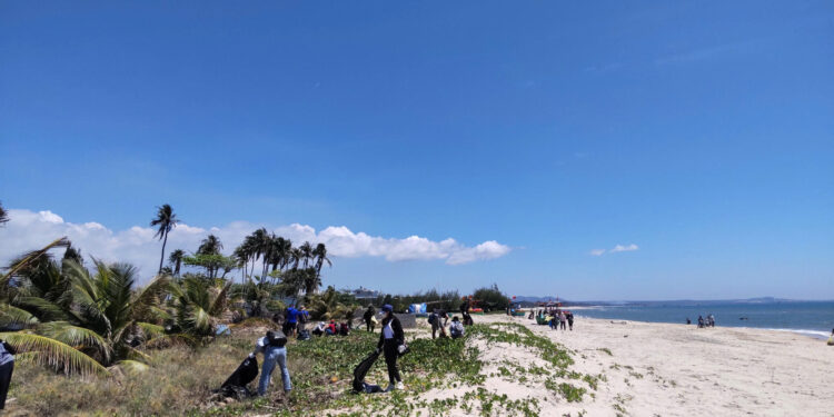 清掃活動の様子
